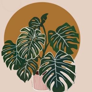 Meet your Posher, Mrs